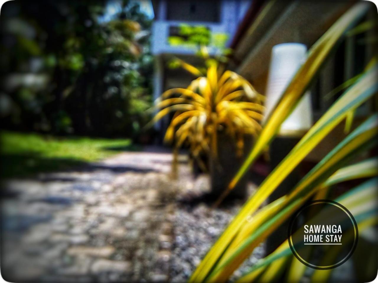 Sawanga Home Stay Weligama Exteriör bild