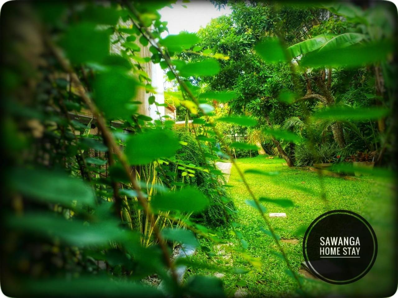 Sawanga Home Stay Weligama Exteriör bild